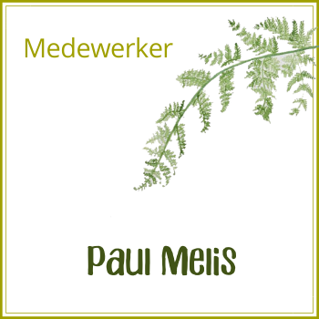 Paul Melis